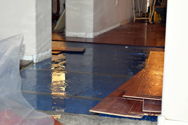 Professional Basement Water Removal technician working in Sebec, ME